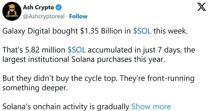 Institutional Accumulation Remains Strong