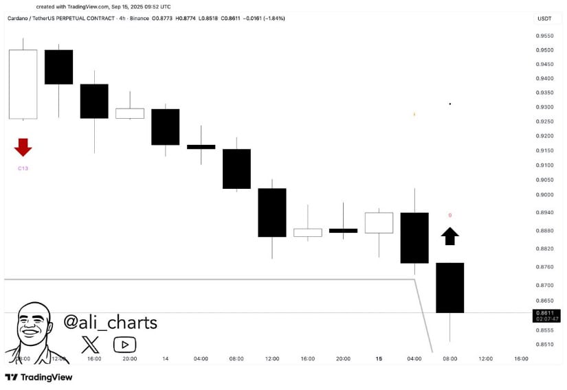 Cardano Buy Signal Emerges on TD Sequential