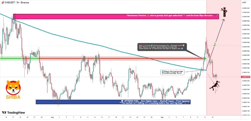 Bulls Defend Key Support Zone