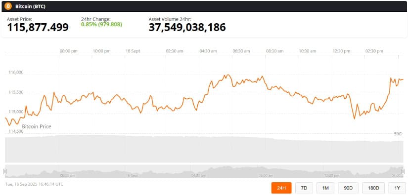 Bitcoin Price Today Holds Key Support Levels