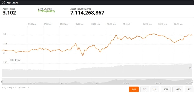 @Nami_XRP 