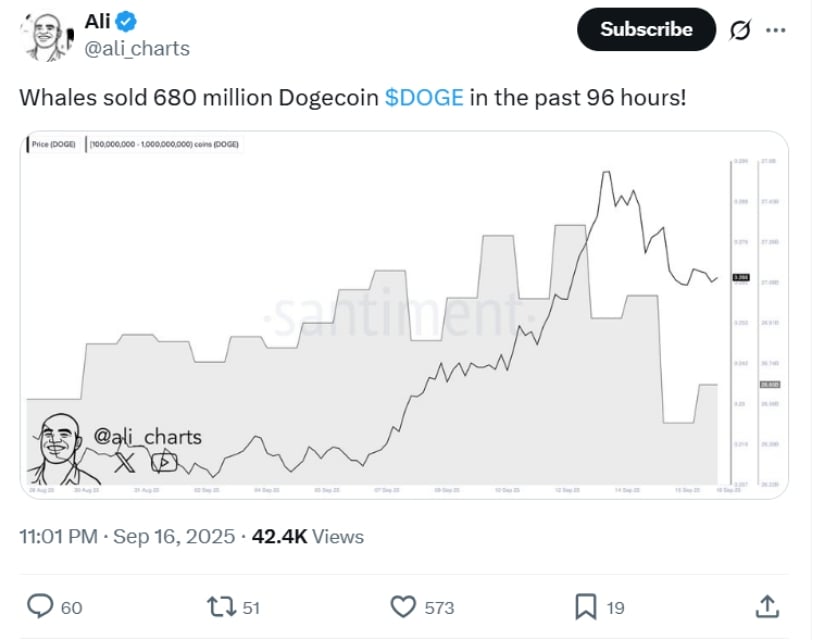 CleanCore Solutions on the Dogecoin hunt