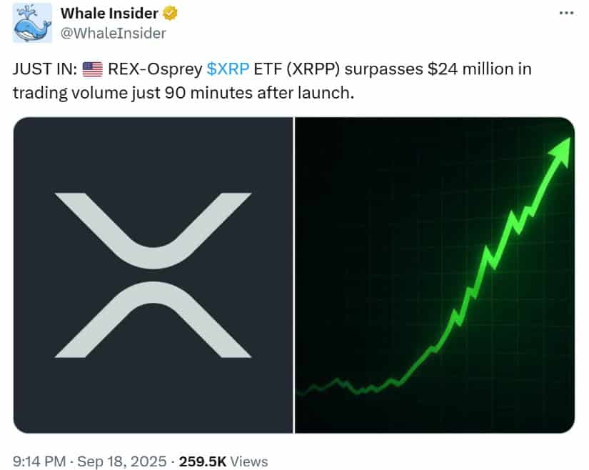 Whale Insider
