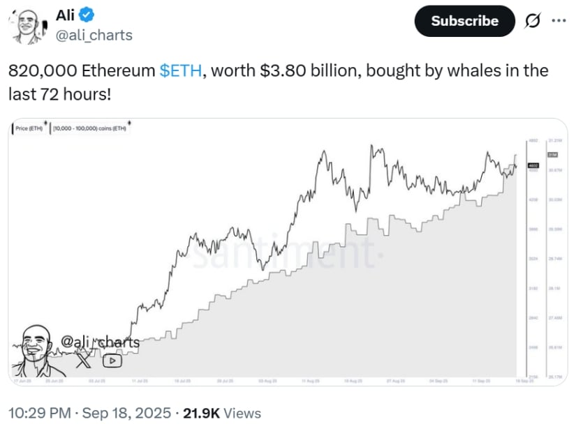 Whales Increase Positions With 820,000 ETH Purchases