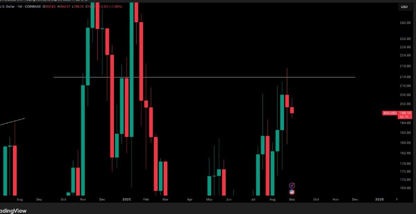 Crypto Monkey