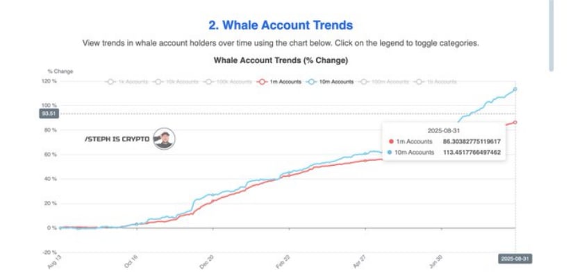 Whale Accounts Show Significant Growth