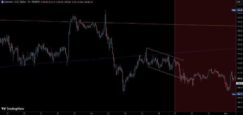 Litecoin Technical Analysis: Bearish but Watching Support
