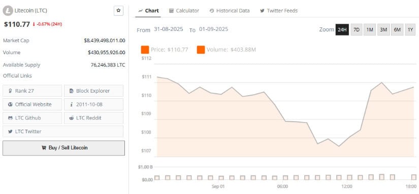 Should You Invest in Litecoin Now?