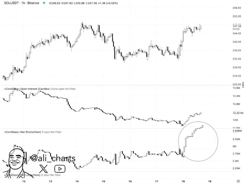 Solana Price Prediction: Squeeze Setup in Play