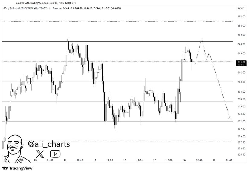 Potential Retrace Towards $230 if Breakout Fails