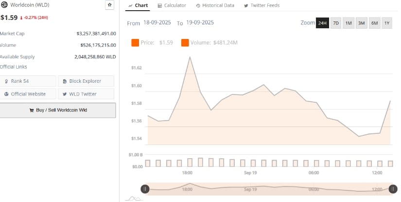 Critical Zone Defines Short-Term Outlook
