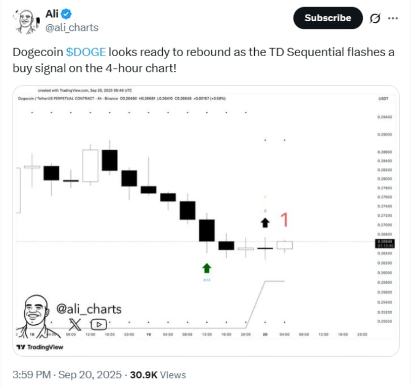 Whale Activity Signals Confidence
