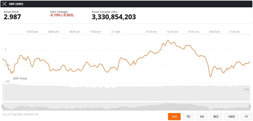 XRP Faces Market-Wide Selloff