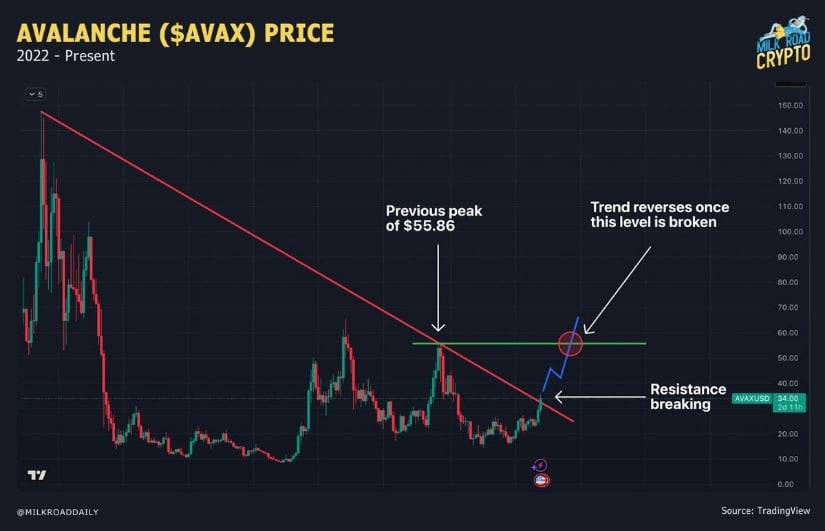 Avalanche Price Prediction: Testing a Multi-Year Downtrend