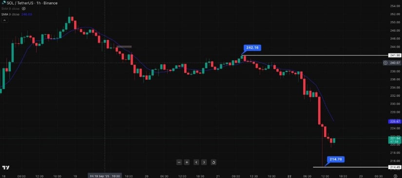 Solana Faces Sharp Pullback From $240