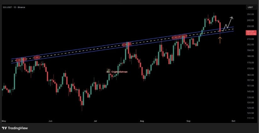 Solana Retests Breakout Structure