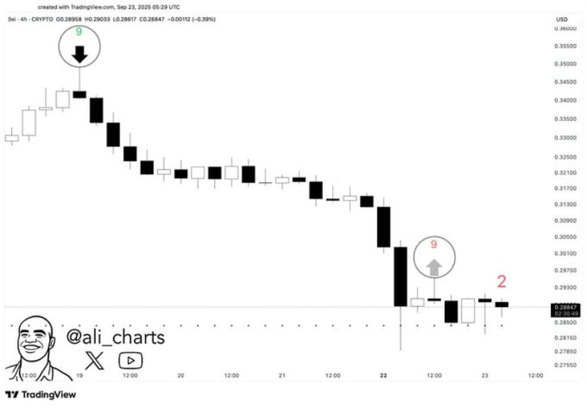 TD Sequential Signals Possible Reversal