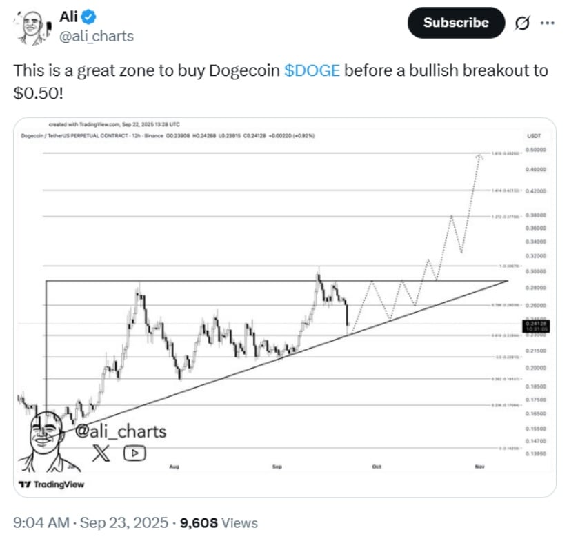 Dogecoin Price Forecast: Short-Term Risks, Long-Term Promise