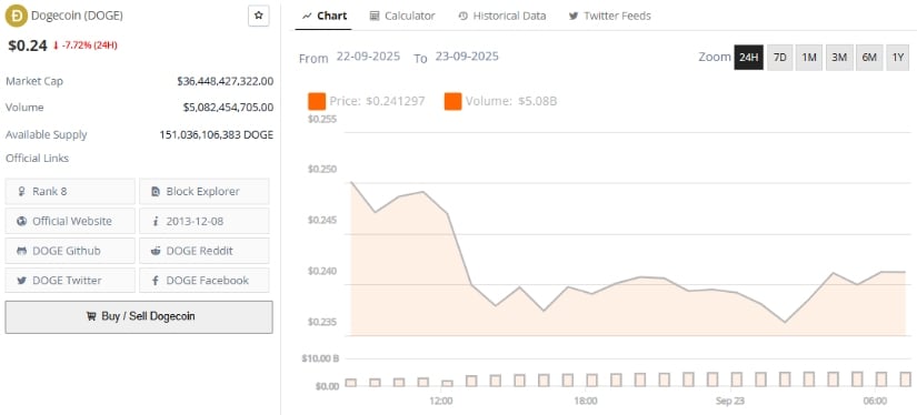 The Road Ahead: Will Dogecoin Reach $1?
