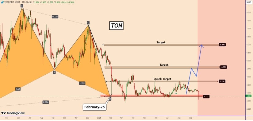 Bullish Wave and Price Targets
