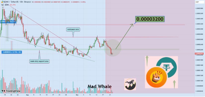 Technical Analysis: Bonk Aims for $0.000032