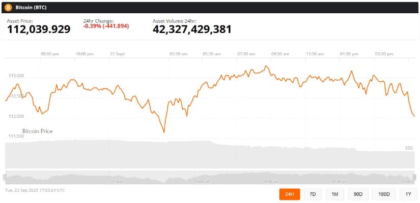 Bitcoin Price Prediction: Volatility Ahead