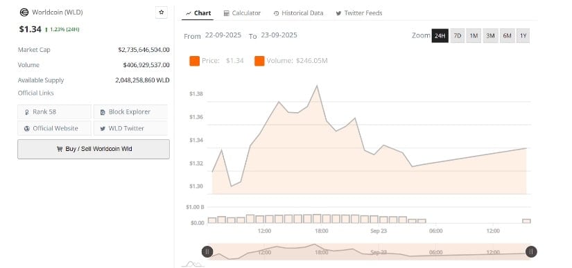 Short-Term Support and Trading Activity