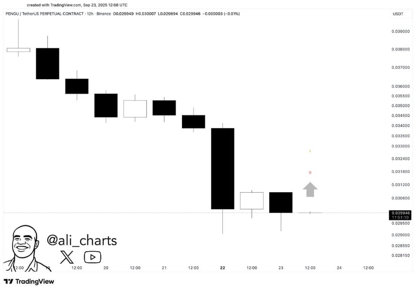 Reversal Signs Building for PENGU
