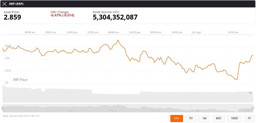 Market Sentiment and Recent Developments