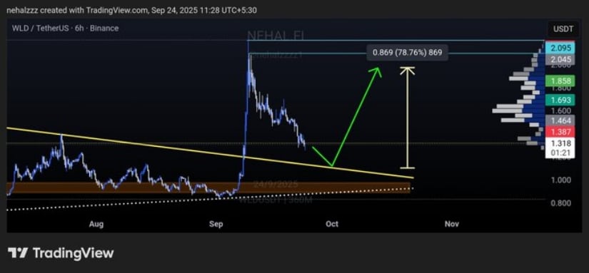 Key Support Levels and Price Action