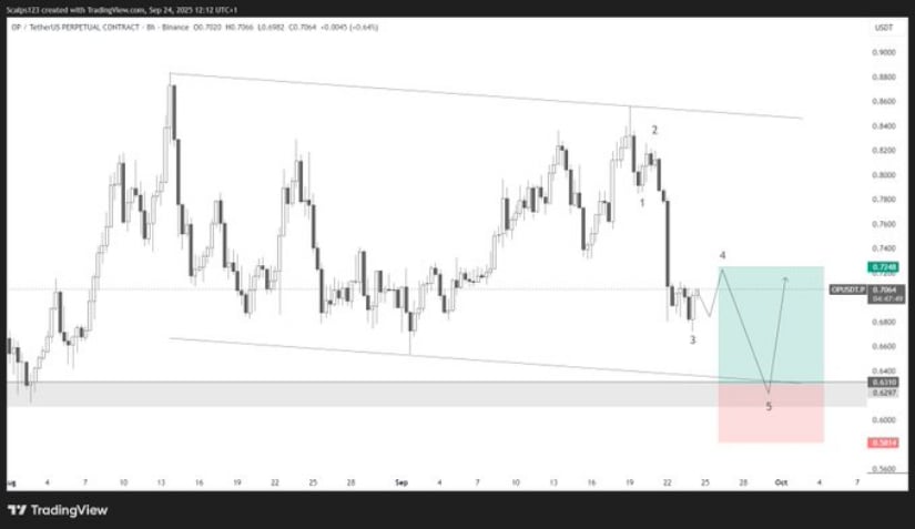 Whale Accumulation Signals Market Confidence