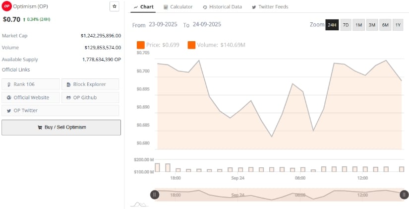 On-Chain Strength Despite Recent Pullback