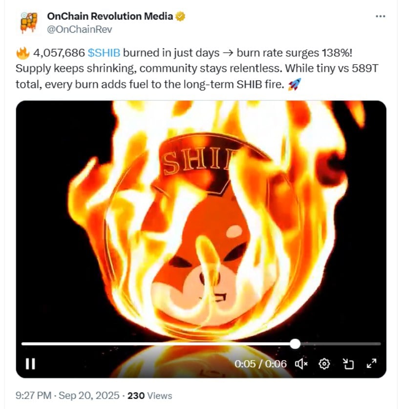 Burn Rate and Ecosystem Developments