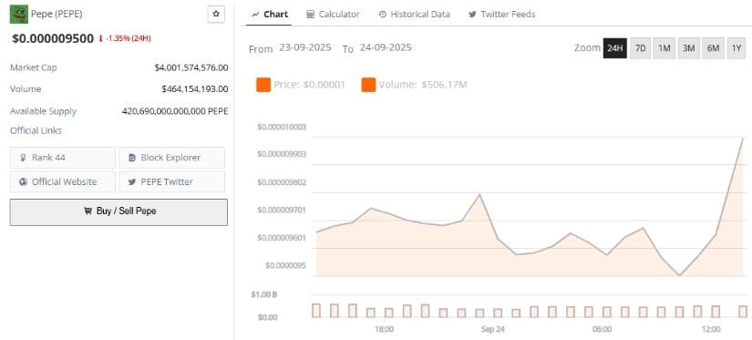 Does Pepe Coin Have a Future?