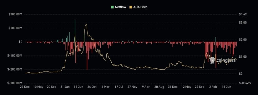 Strong Outflows Could Support ADA Price