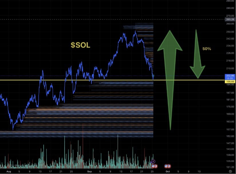 Solana Price Standing at 50% Pullback