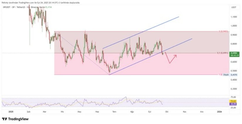 Breakdown Raises Bearish Risks