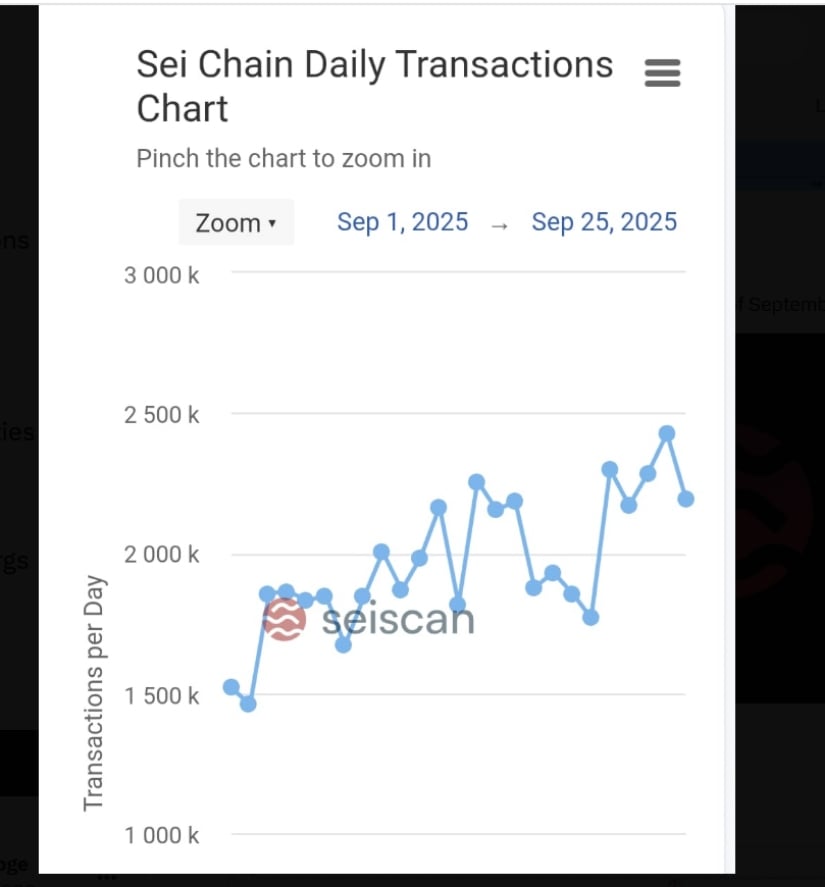 Transaction Activity Accelerates Across the Network