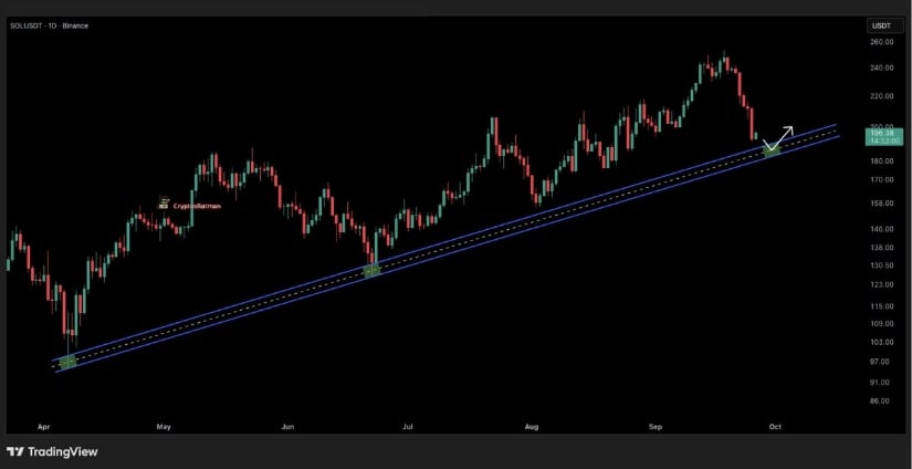 Solana Price Approaches Its Long-Term Trendline