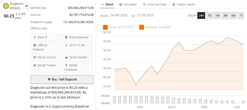 Looking Ahead: Dogecoin at a Crossroads