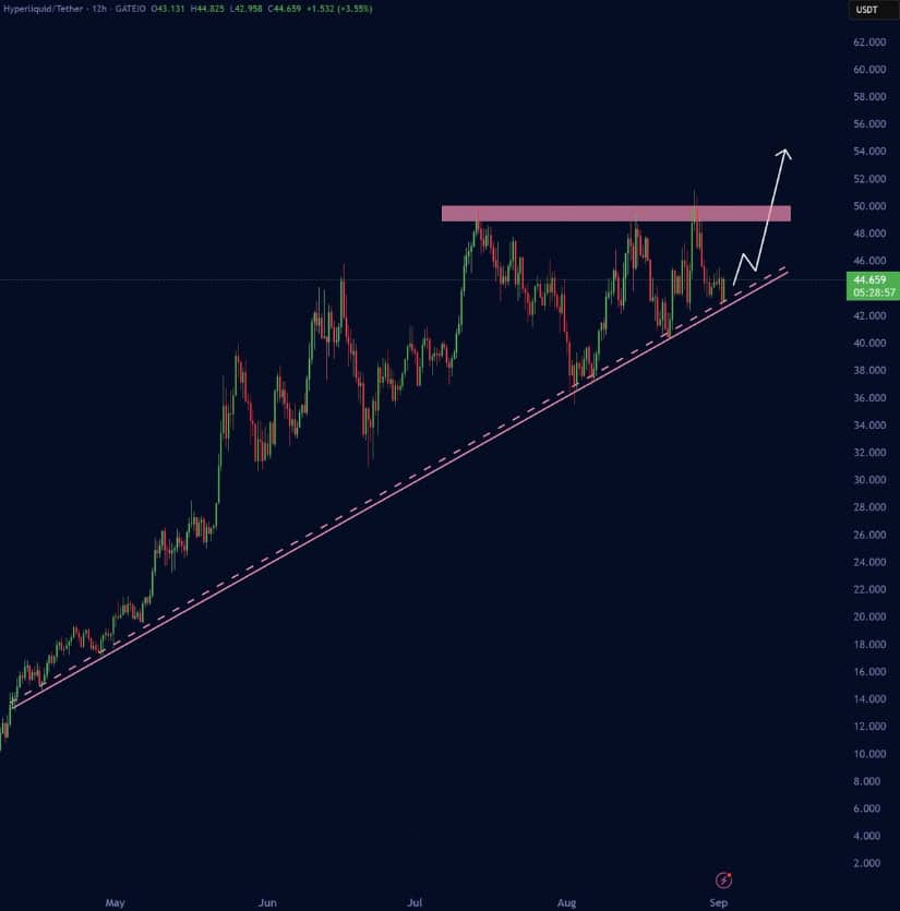 Hyperliquid Price Prediction: Path Towards $55–$60