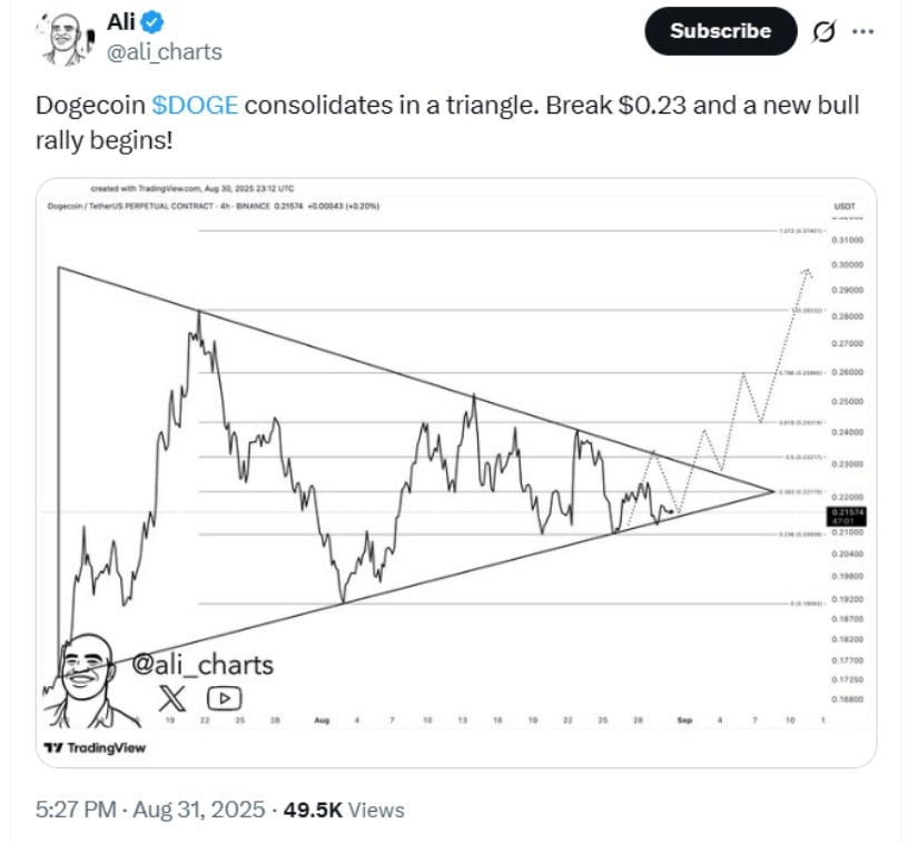 Whale Activity and Market Pressure