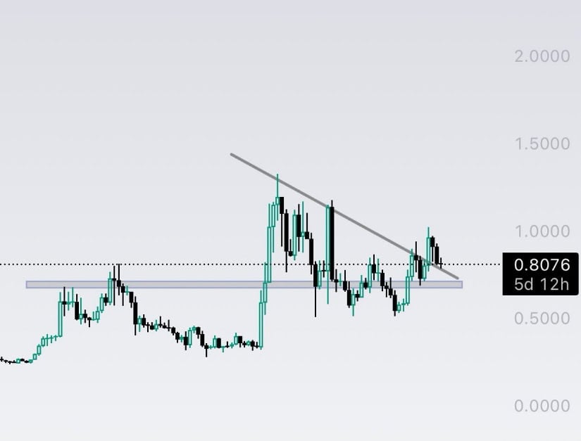 Cardano Completes a Clean Retest