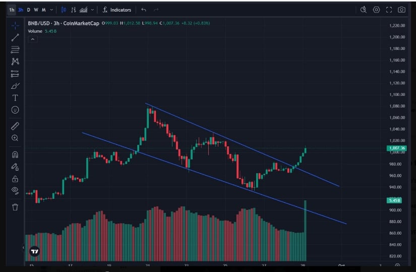 Binance Coin Chart