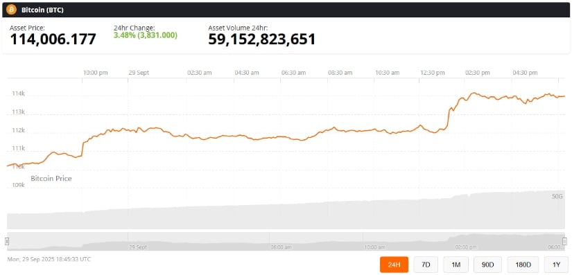 Bitcoin chart dangling like a golden goose
