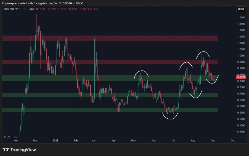  Crypto Yapper