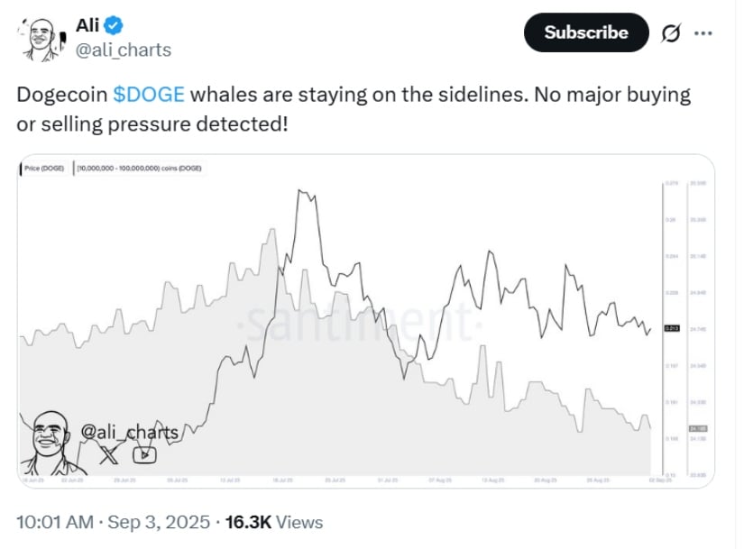 Dogecoin Whale Activity Remains Subdued