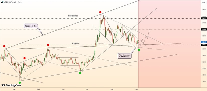 XRP Price Prediction: What to Watch Next