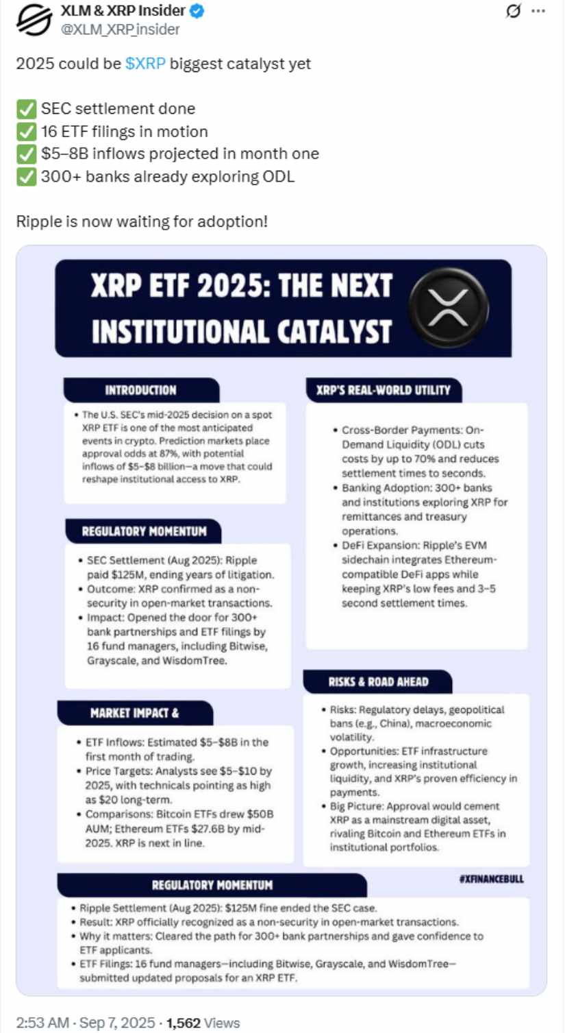 Institutional Interest and ETF Speculation