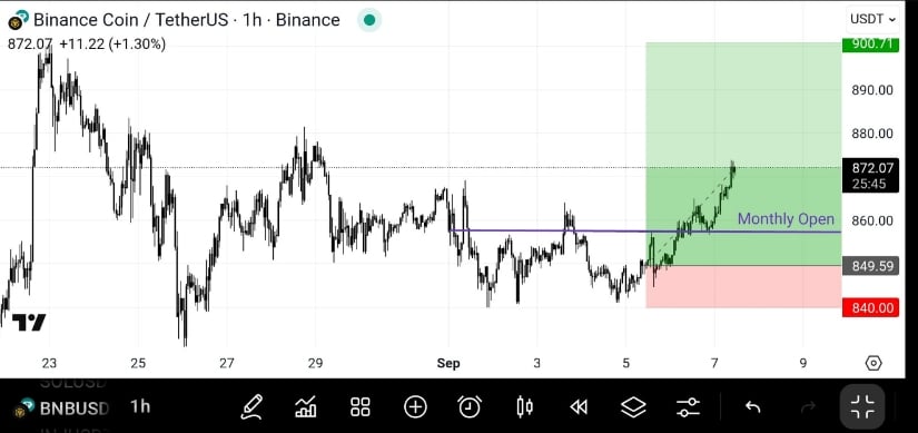 BNB Price Action and Recent Developments